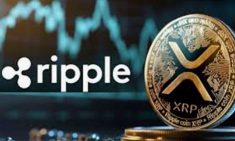 Home xrp